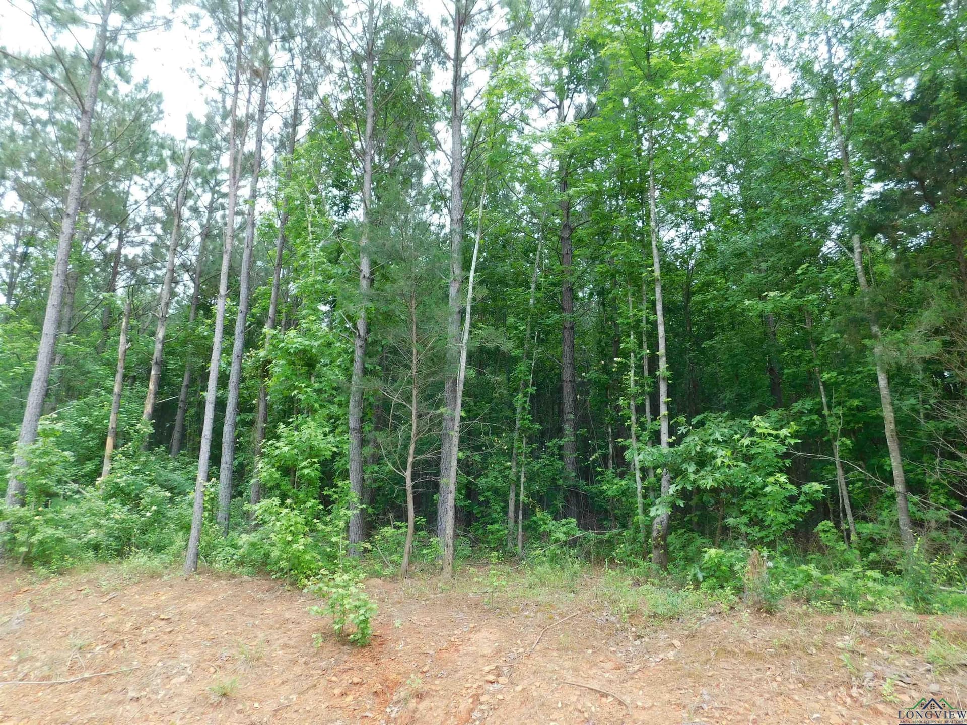 Tbd MEGAN MILLS RD