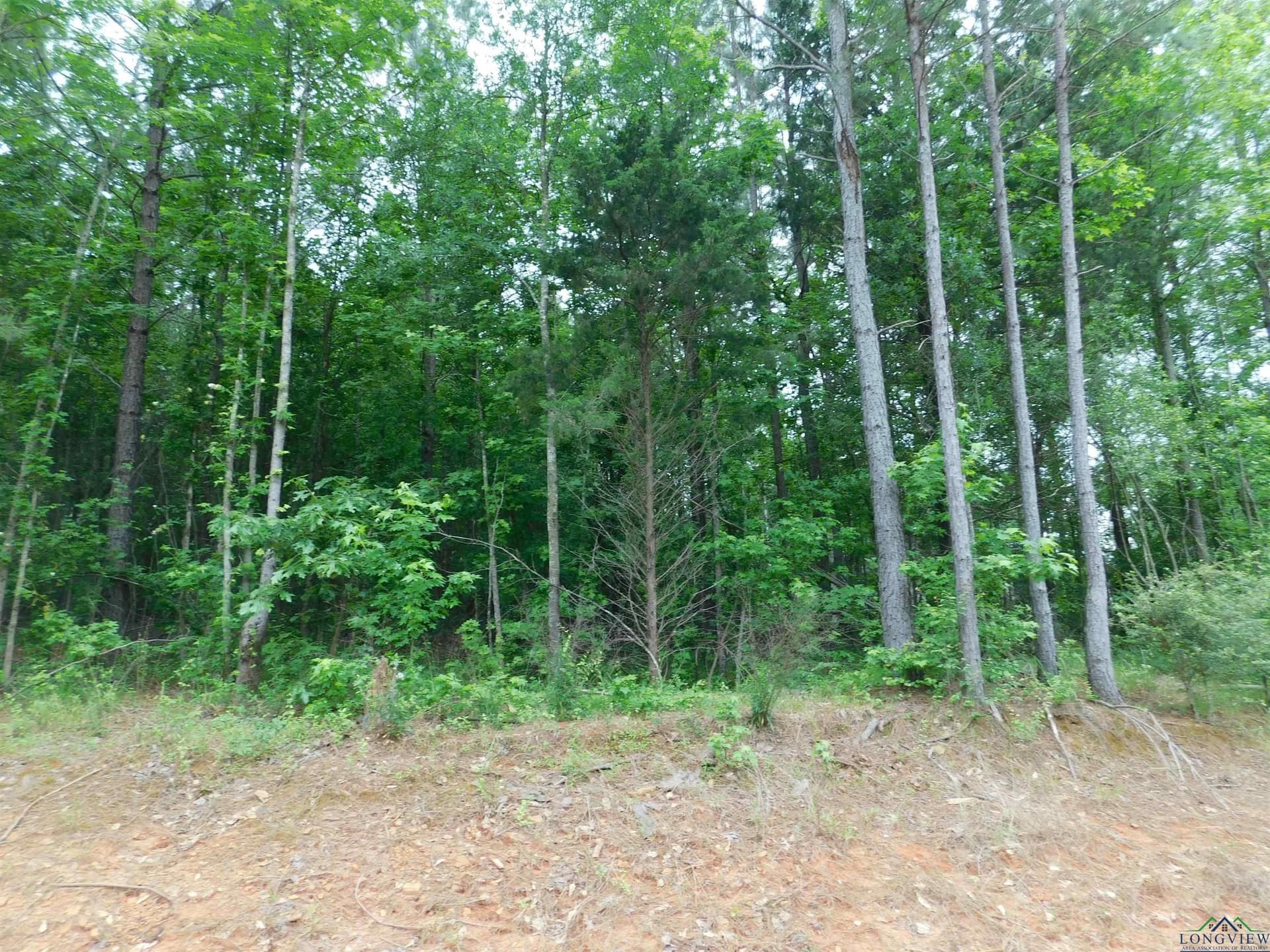 0.82 acres in Texas County - photo 2