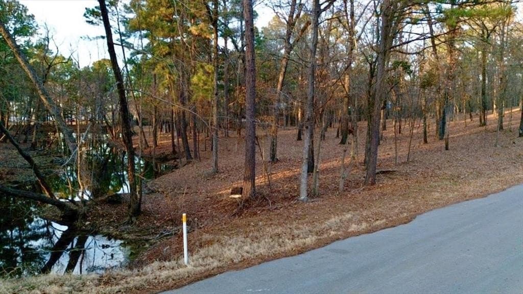 1.49 acres in Smith County - photo 2