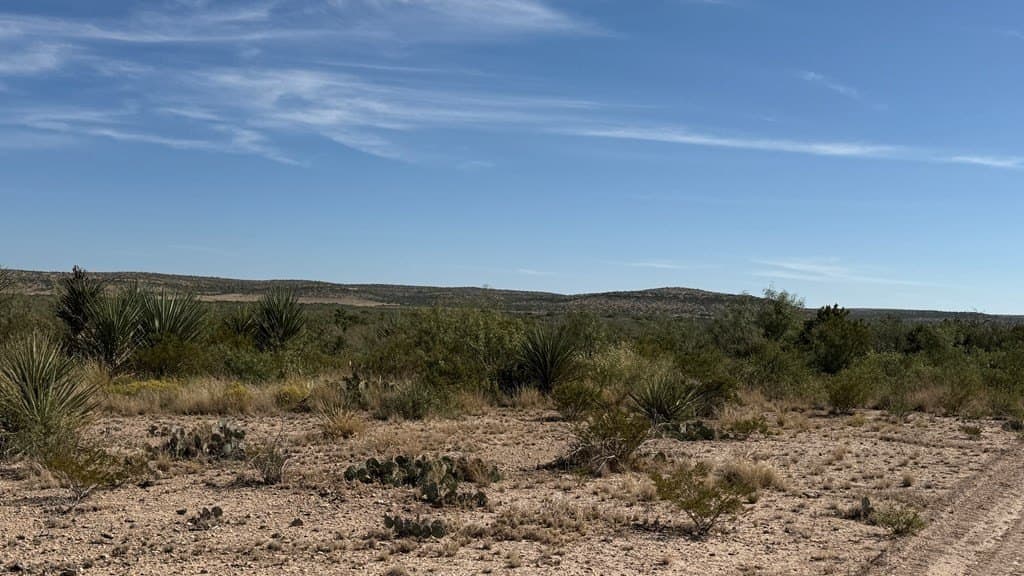 409.2 acres in Pecos County - photo 43