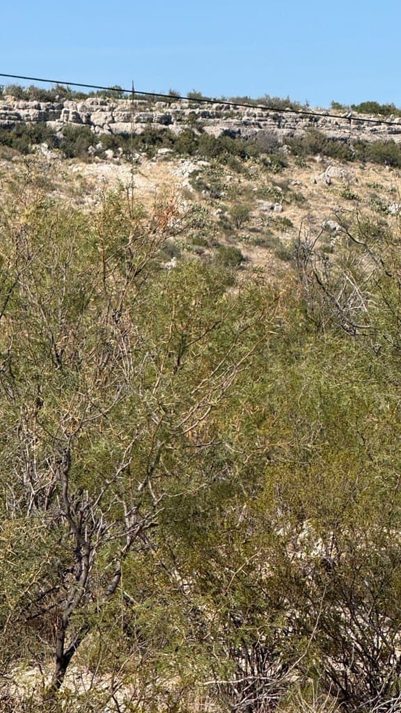 409.2 acres in Pecos County - photo 51