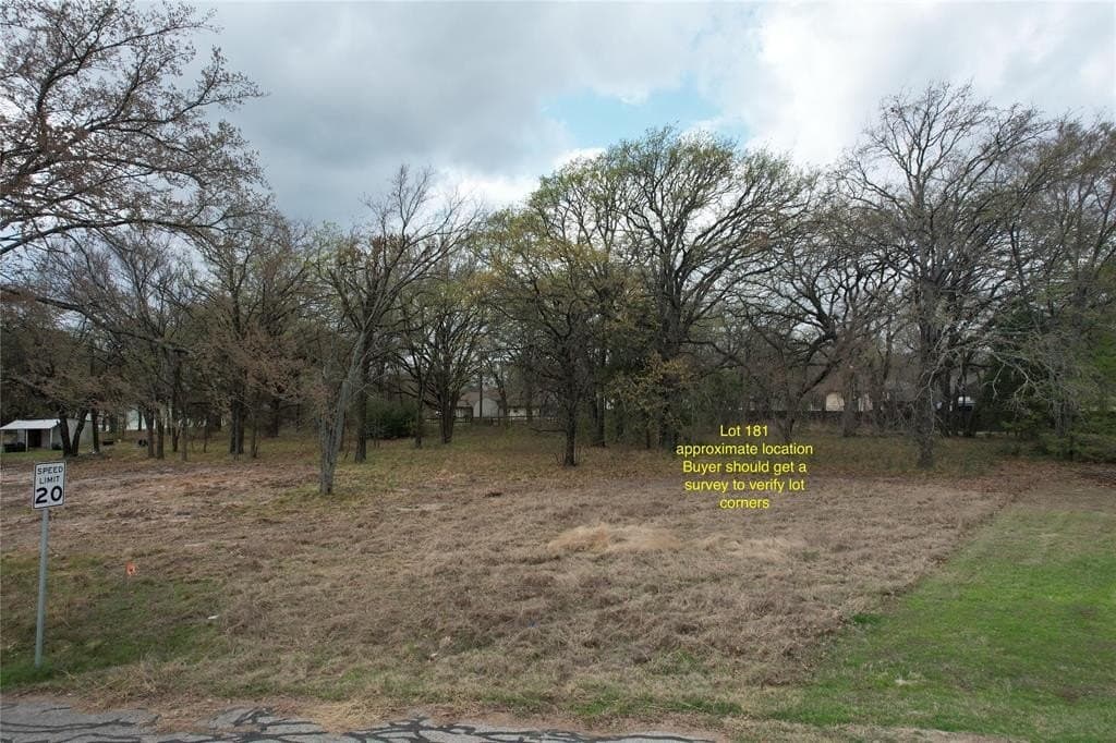 0.31 acres in Henderson County - photo 3