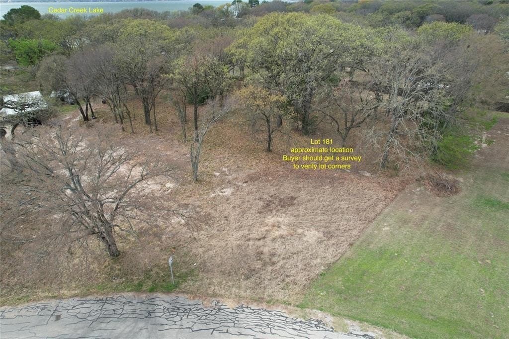0.31 acres in Henderson County - photo 5