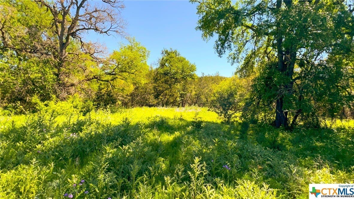 368 acres in Burnet County - photo 38