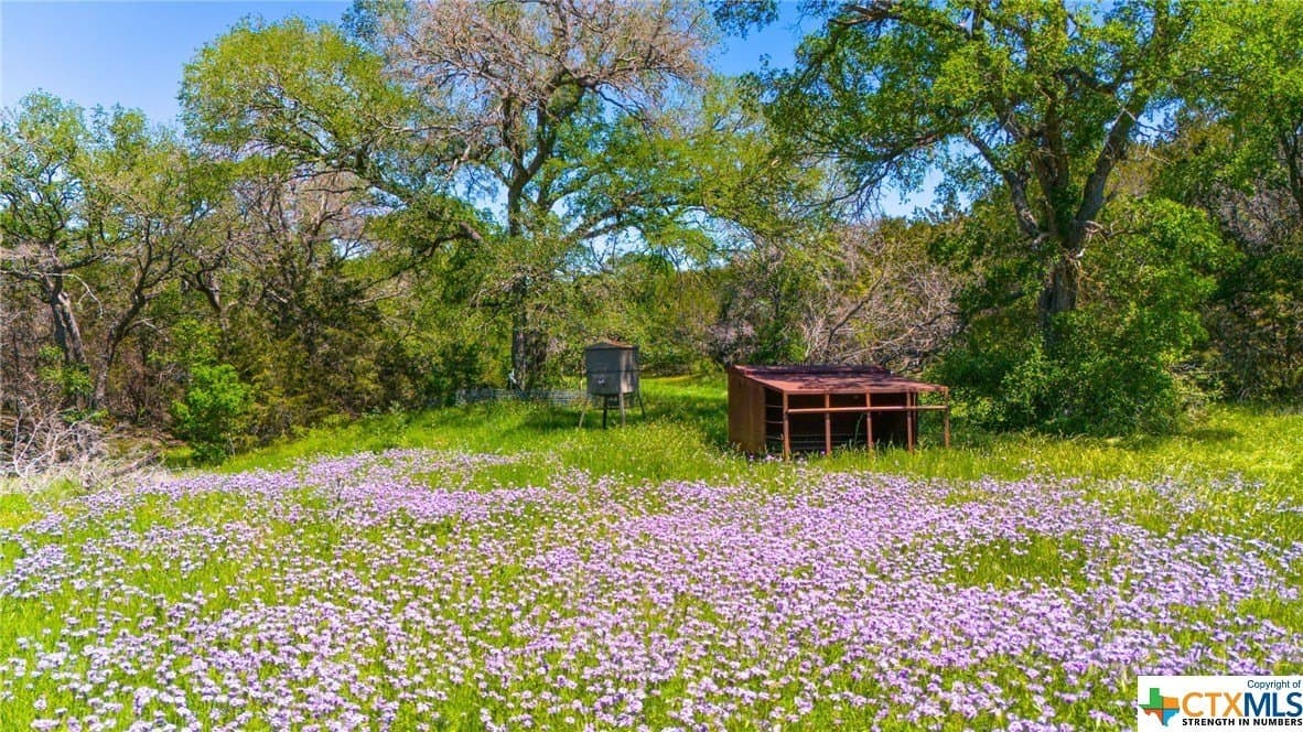 368 acres in Burnet County - photo 7