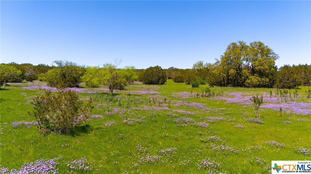 368 acres in Burnet County - photo 13