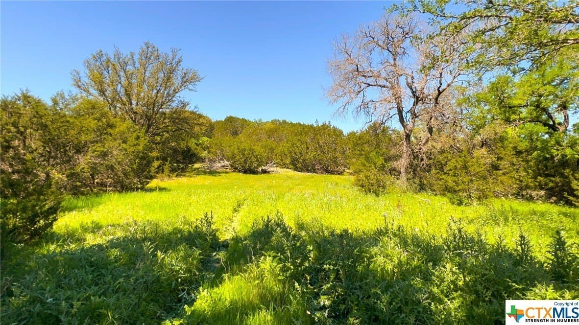 368 acres in Burnet County - photo 39
