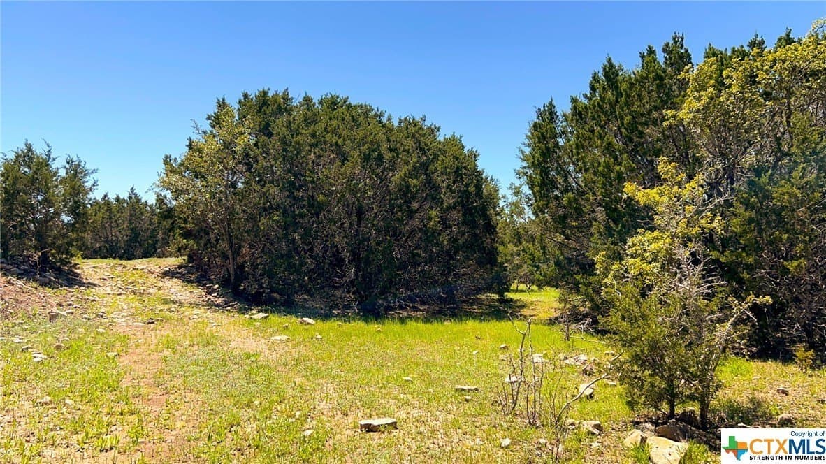 368 acres in Burnet County - photo 41