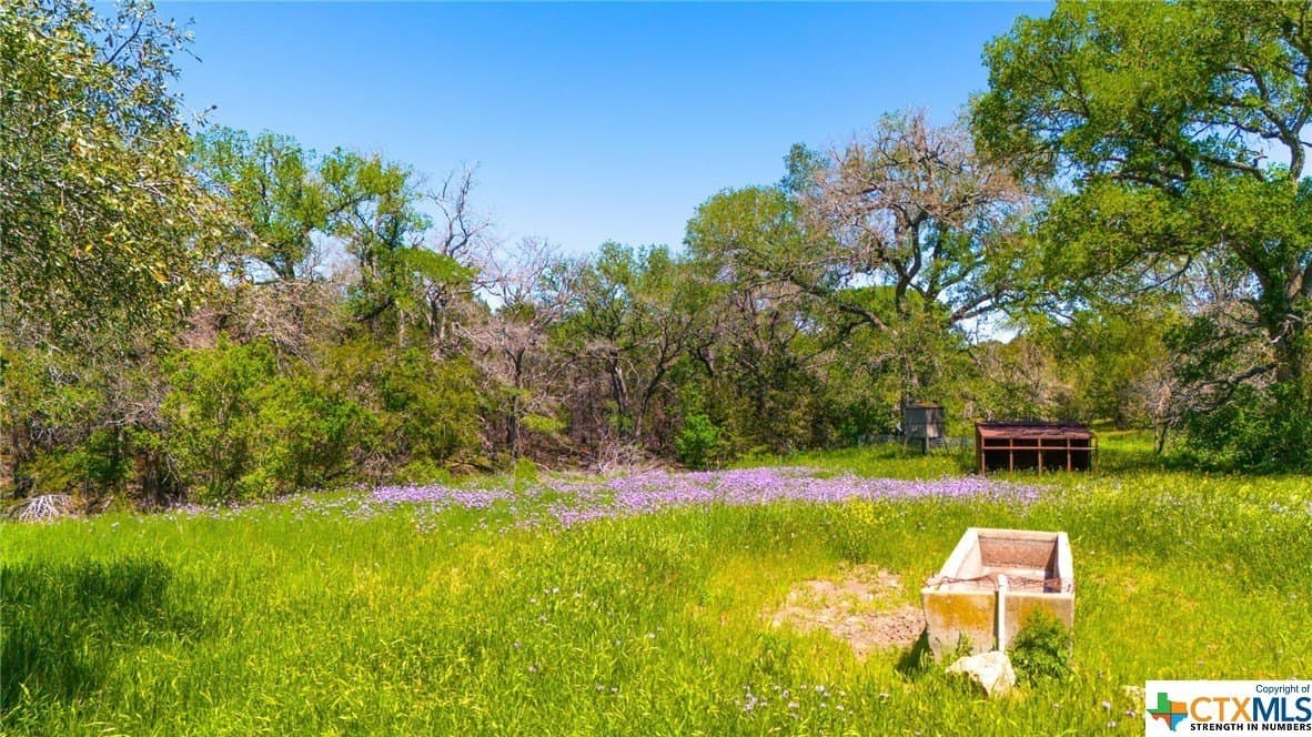 368 acres in Burnet County - photo 15
