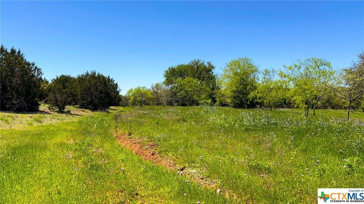 368 acres in Burnet County - photo 40