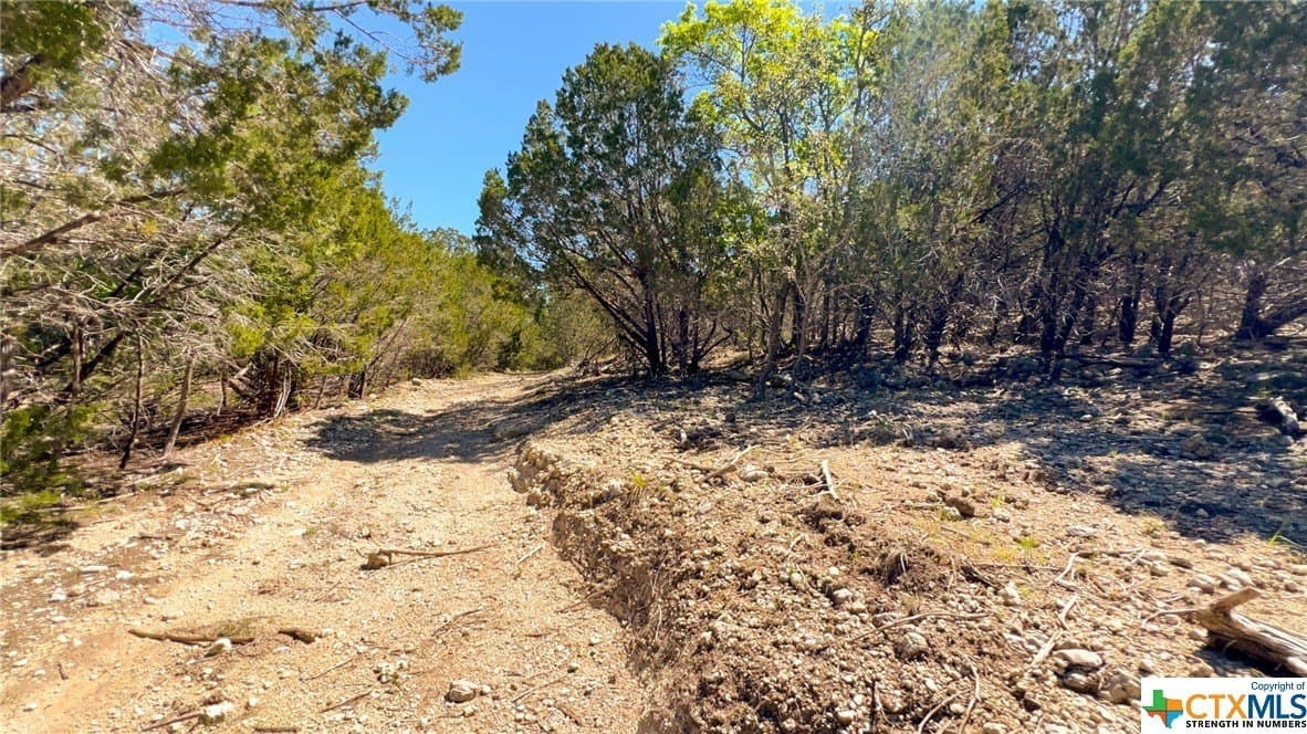 368 acres in Burnet County - photo 28