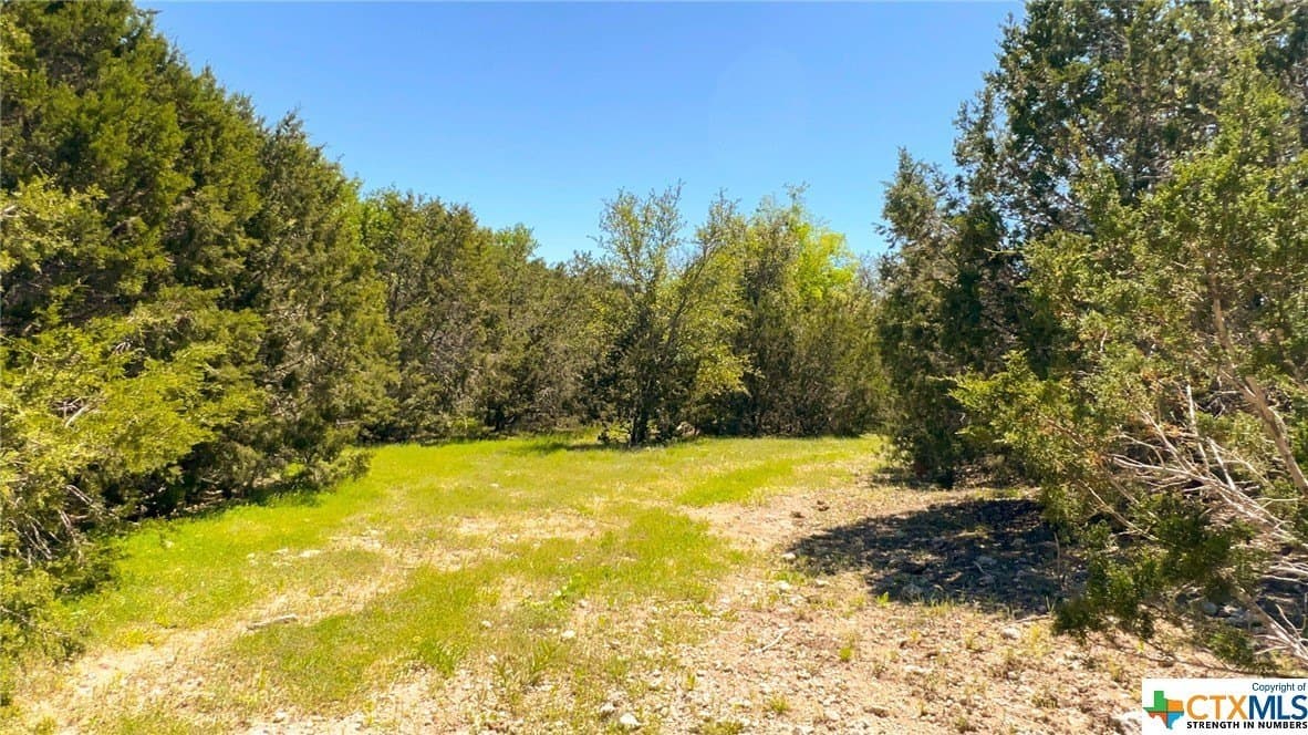 368 acres in Burnet County - photo 29