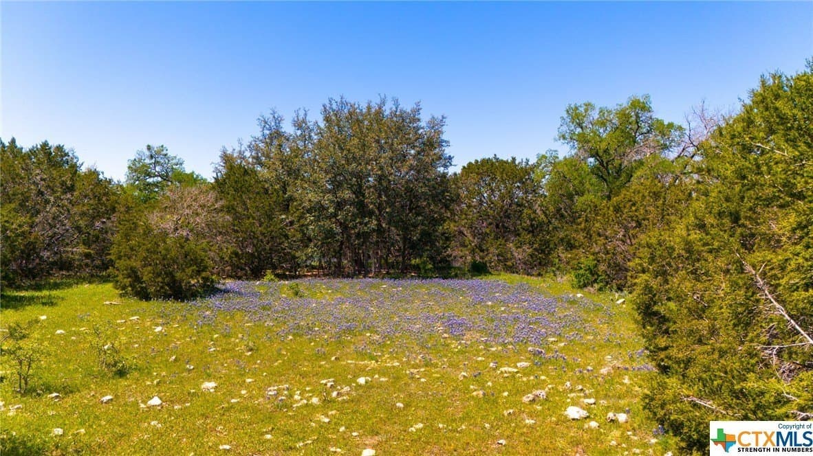 368 acres in Burnet County - photo 16