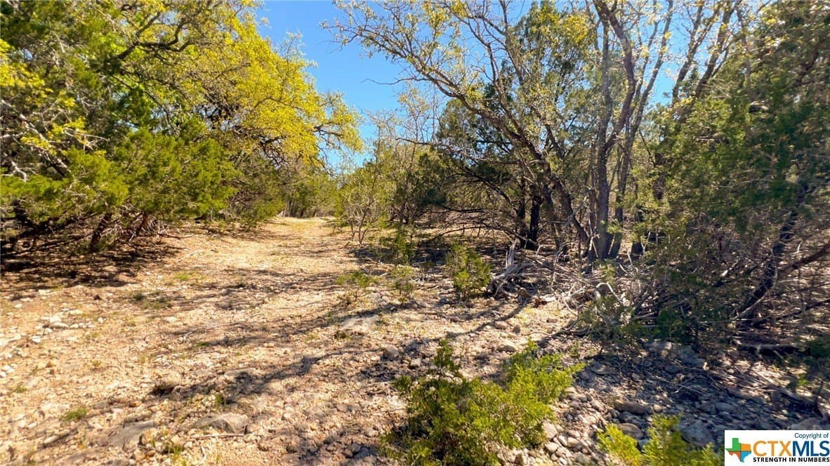 368 acres in Burnet County - photo 27