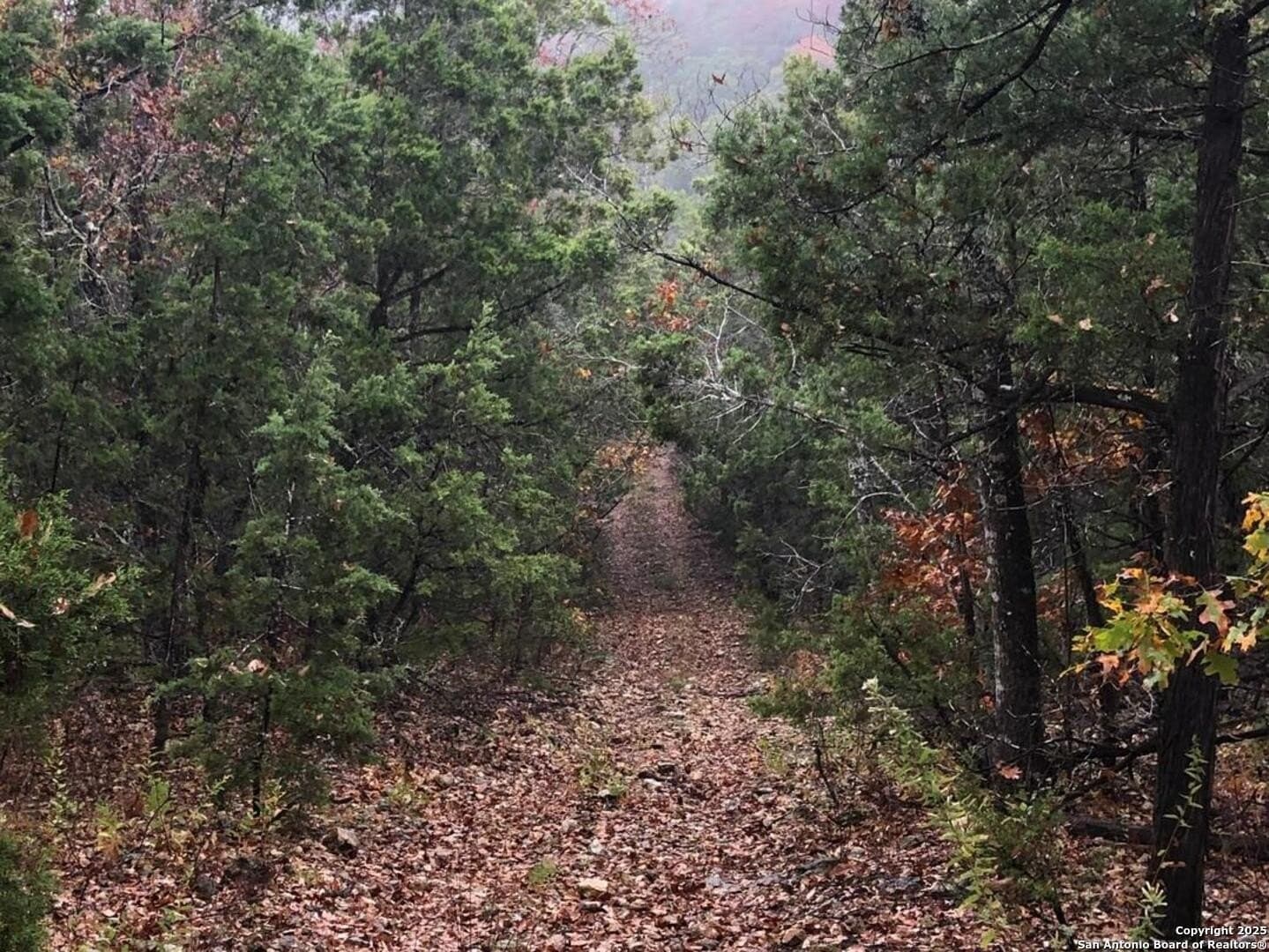 24.69 acres in Medina County - photo 45