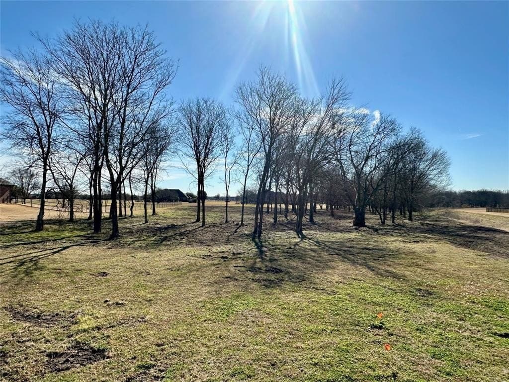 2 acres in Rockwall County - photo 6