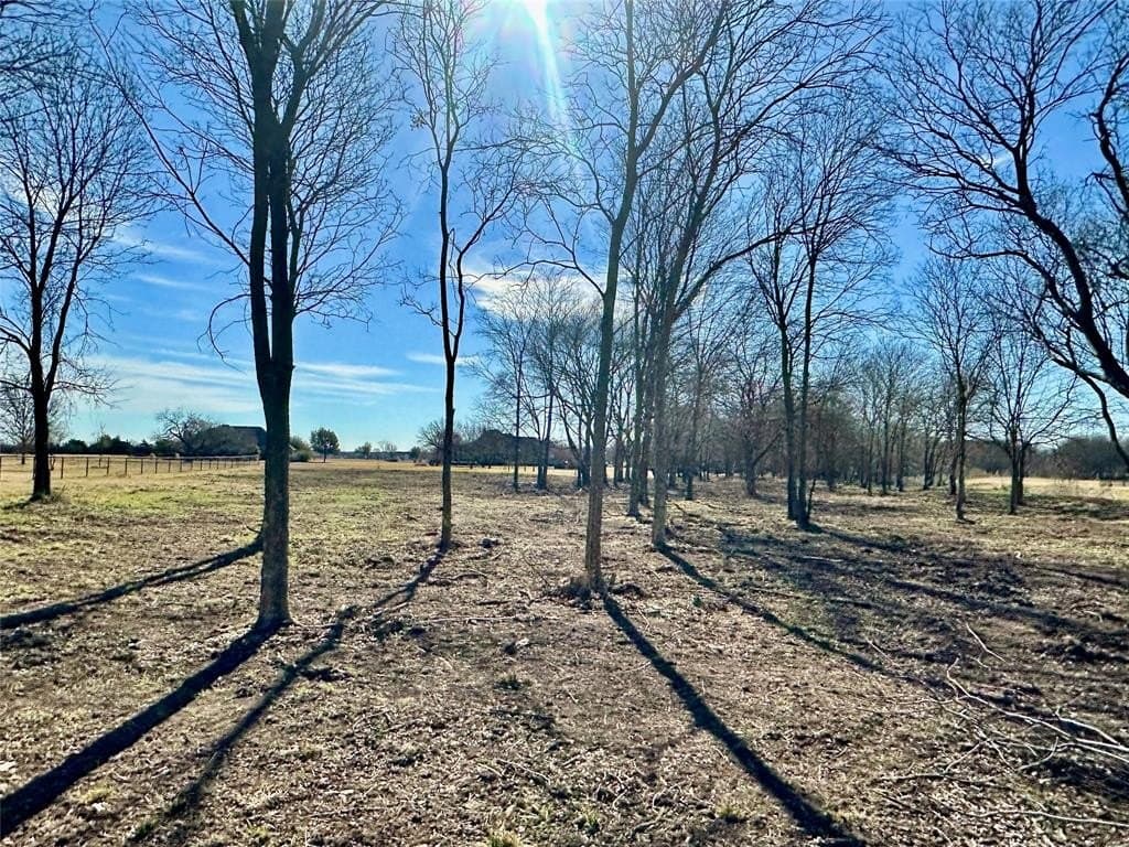 2 acres in Rockwall County - photo 7