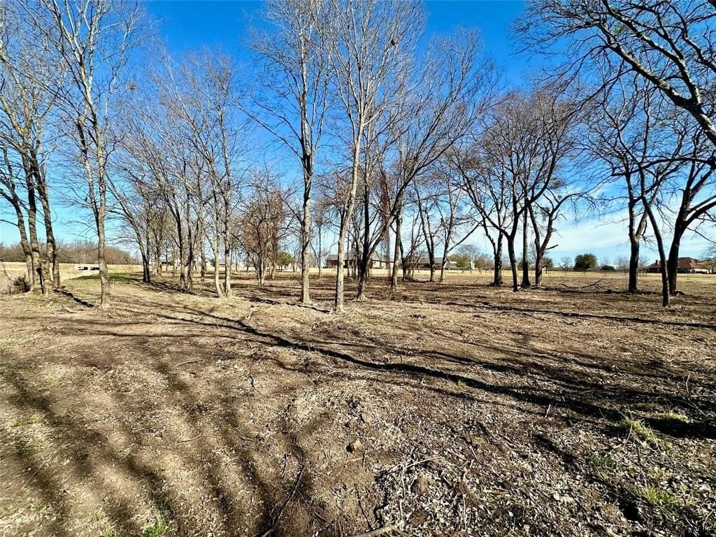2 acres in Rockwall County - photo 9