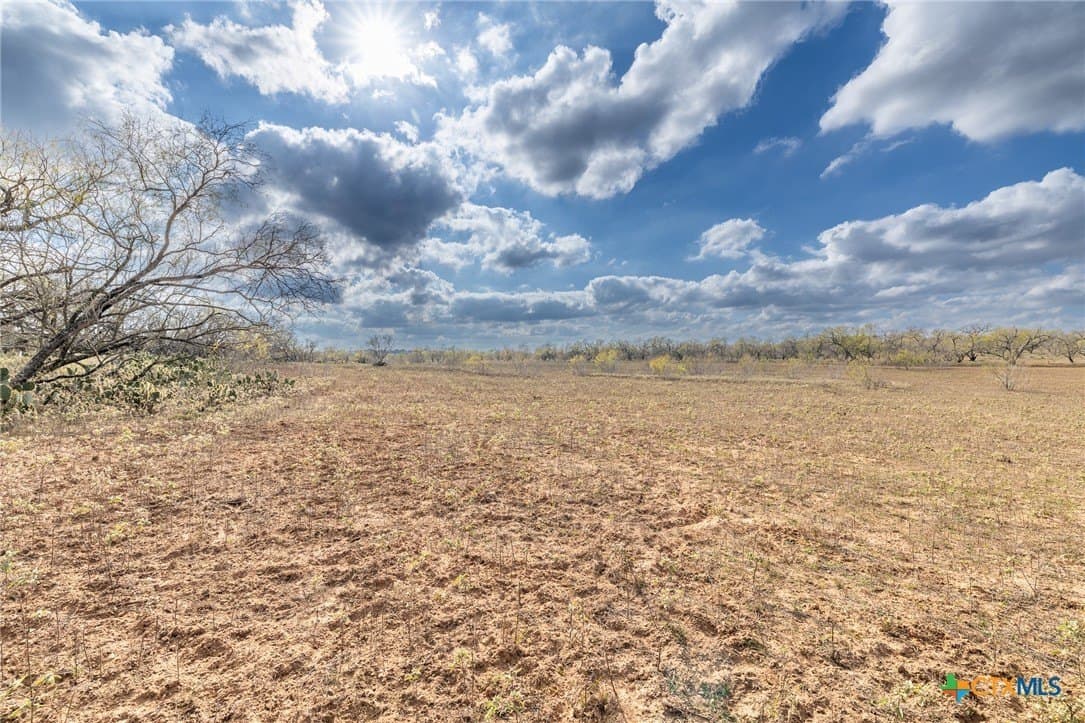 47.95 acres in Gonzales County - photo 19