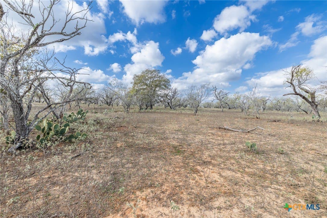 47.95 acres in Gonzales County - photo 24