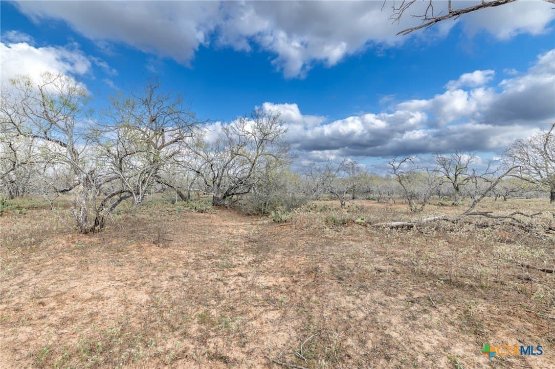 47.95 acres in Gonzales County - photo 25