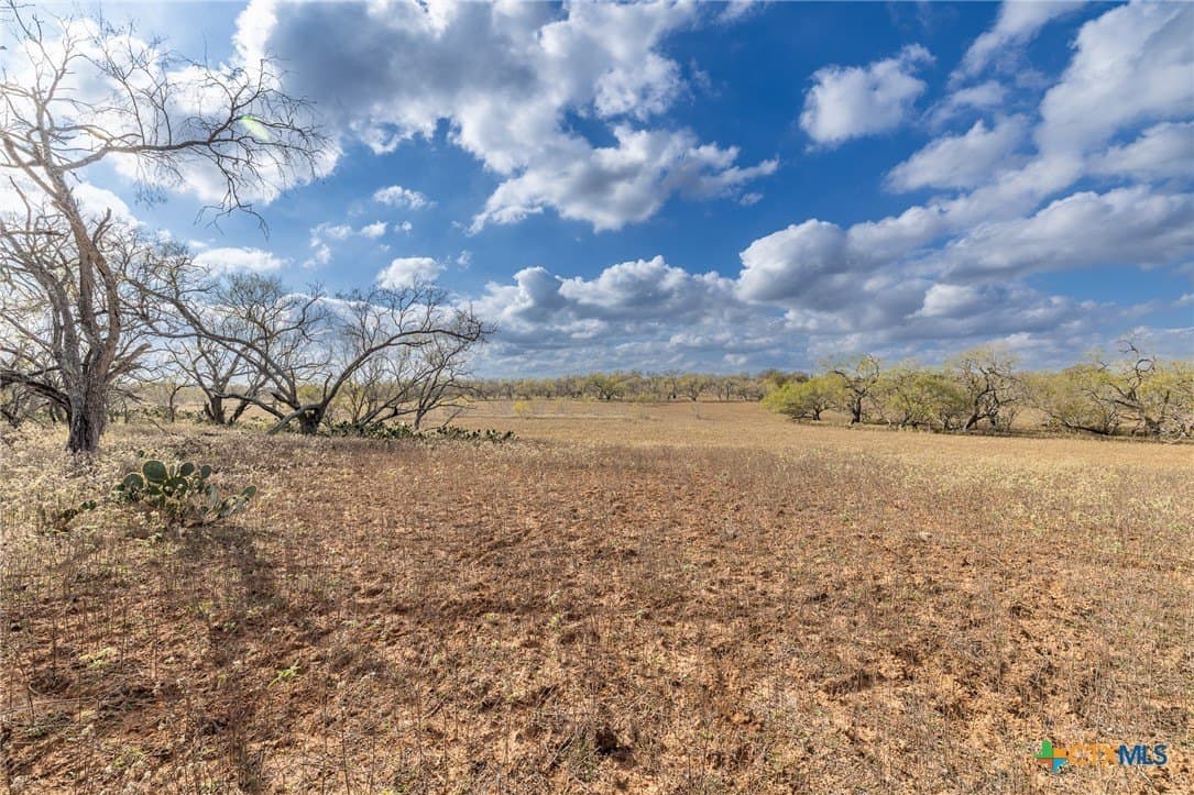 47.95 acres in Gonzales County - photo 18