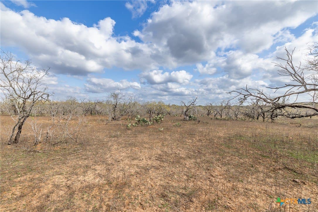 47.95 acres in Gonzales County - photo 12
