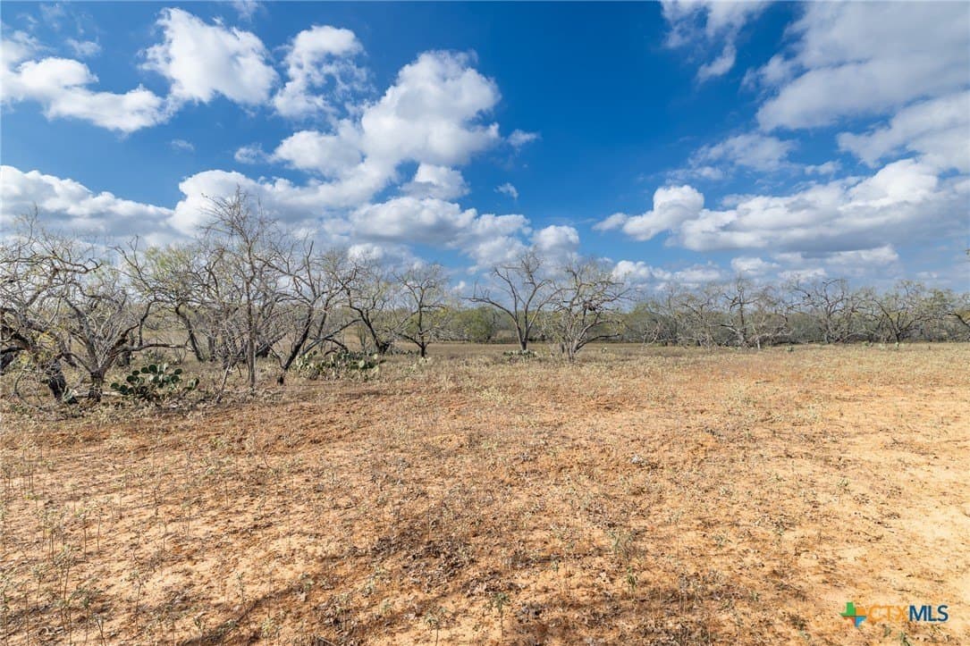 47.95 acres in Gonzales County - photo 17