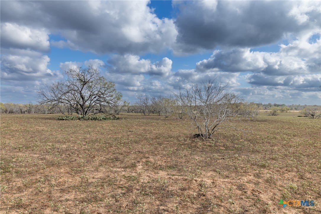 47.95 acres in Gonzales County - photo 10