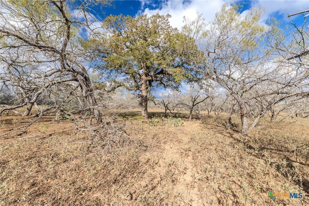 47.95 acres in Gonzales County - photo 26