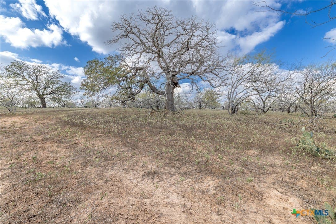 47.95 acres in Gonzales County - photo 5