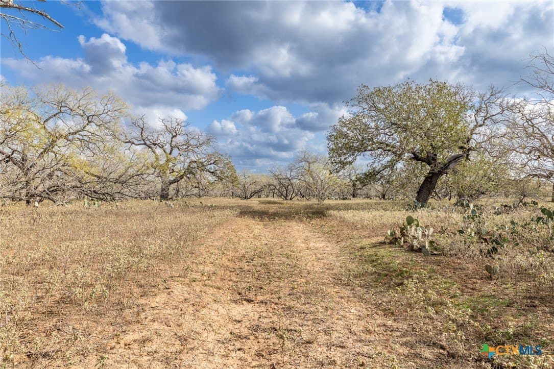 47.95 acres in Gonzales County - photo 2