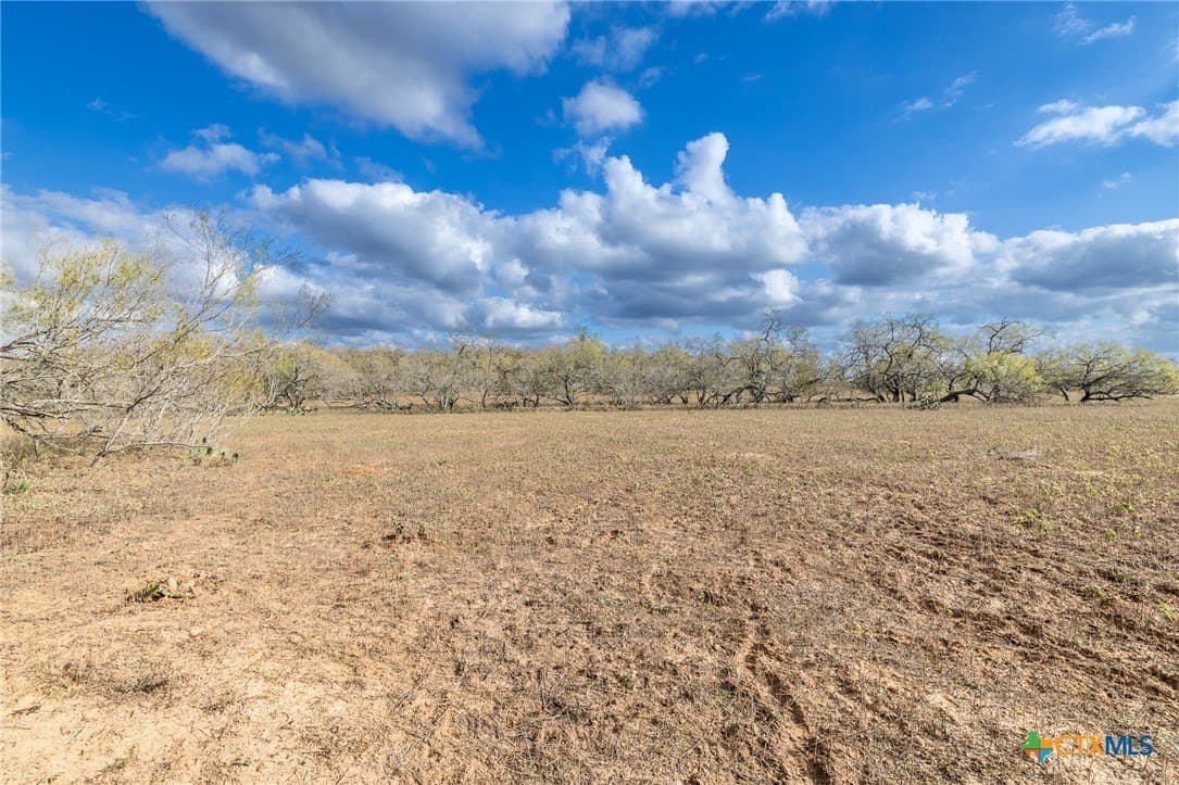 47.95 acres in Gonzales County - photo 27