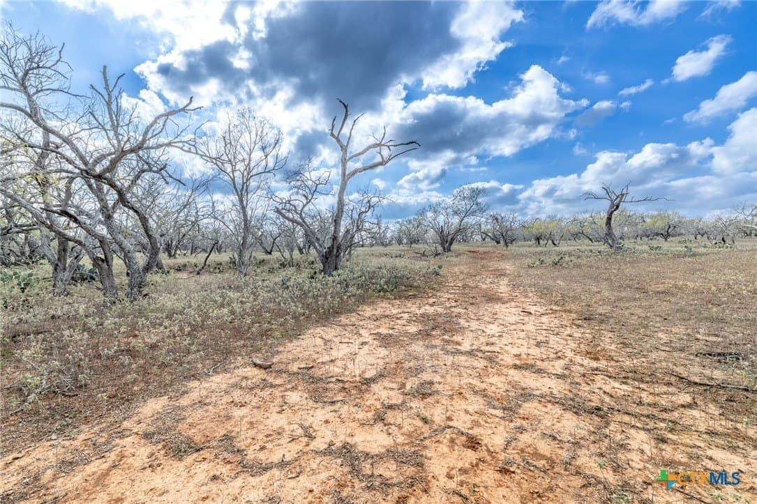 47.95 acres in Gonzales County - photo 23