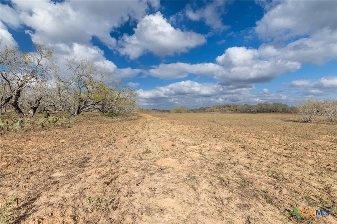 47.95 acres in Gonzales County - photo 13
