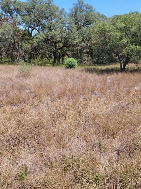1.81 acres in Victoria County - photo 8