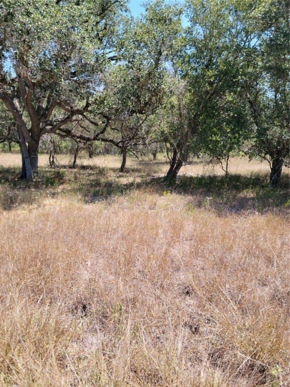 1.81 acres in Victoria County - photo 2