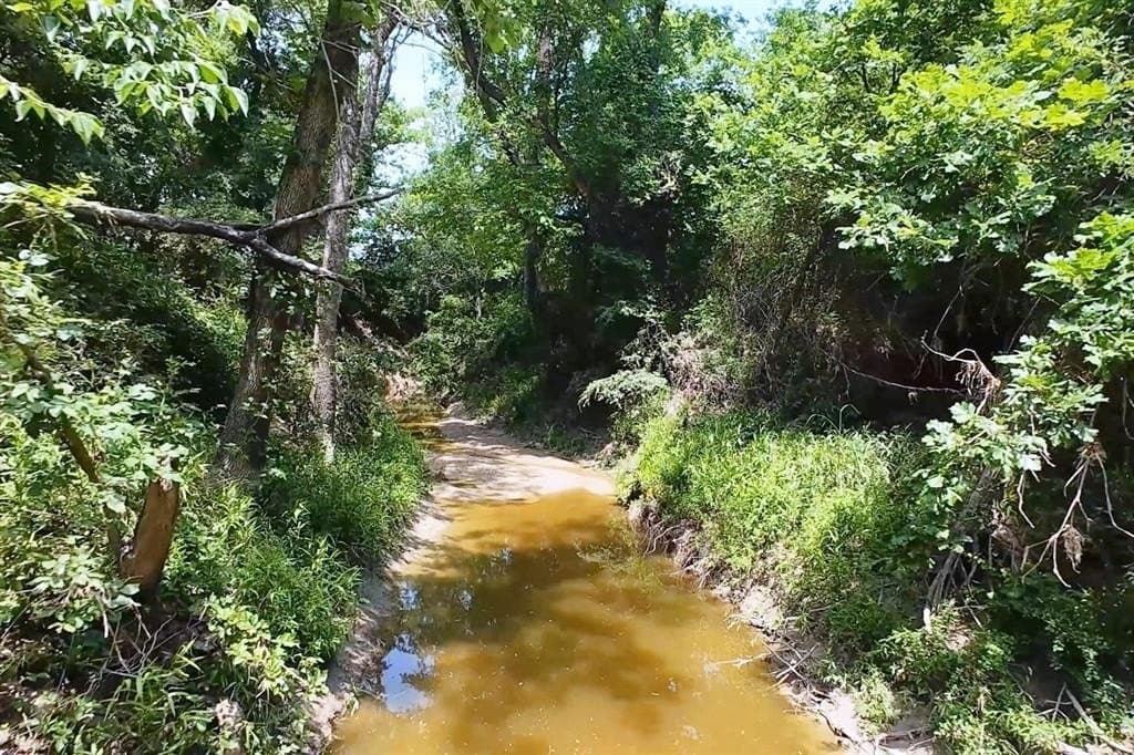12.23 acres in Falls County - photo 5