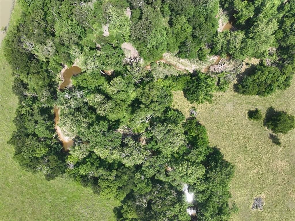 12.23 acres in Falls County - photo 3