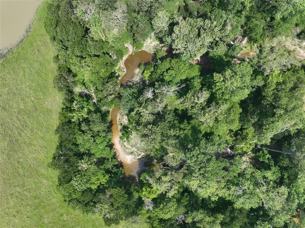 12.23 acres in Falls County - photo 11