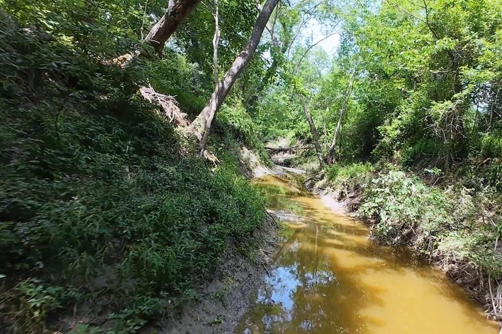 12.23 acres in Falls County - photo 4
