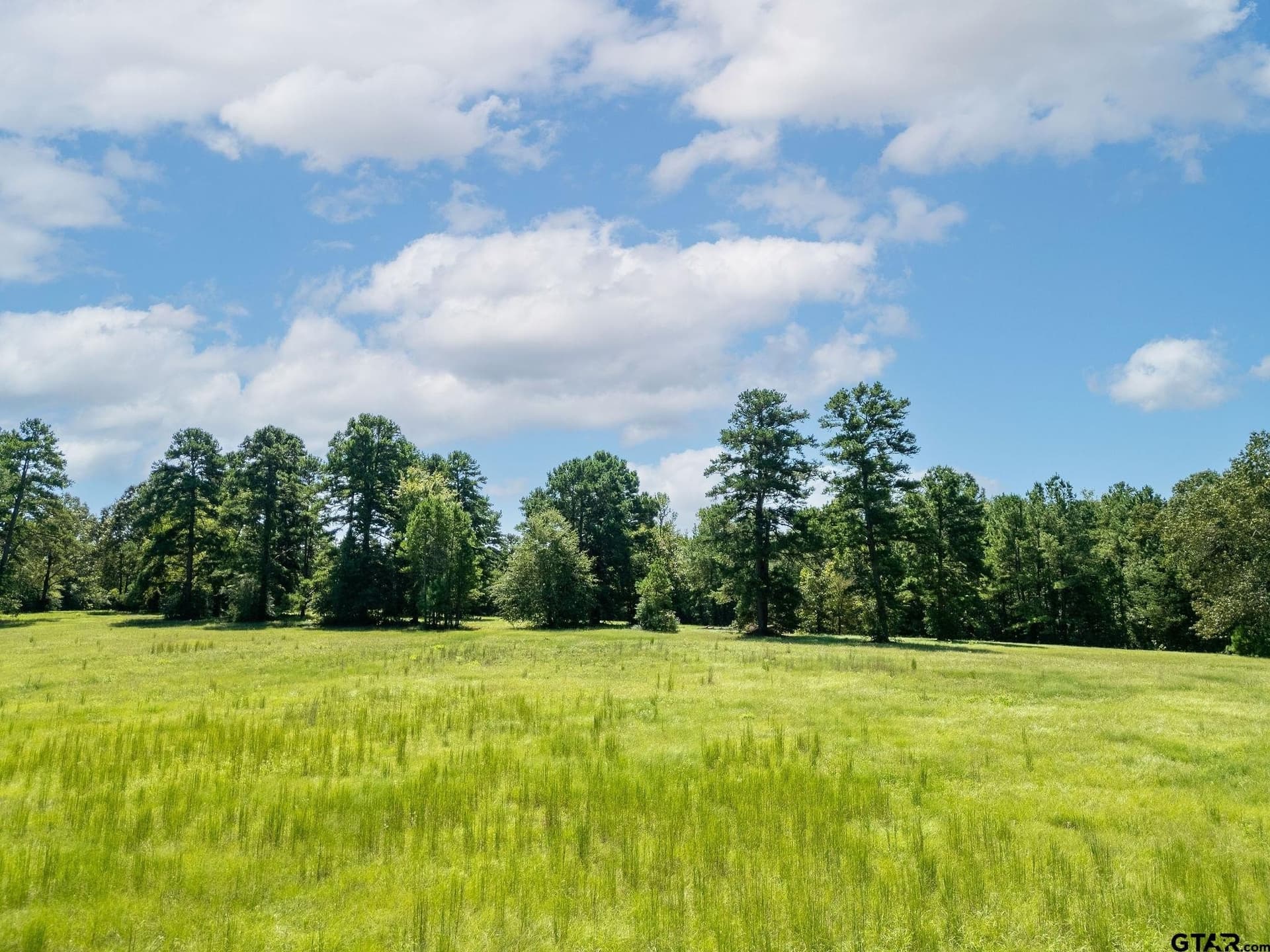 11.6 acres in Upshur County - photo 14