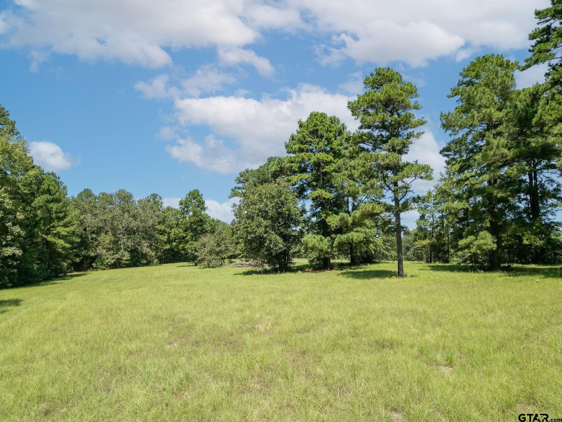11.6 acres in Upshur County - photo 12