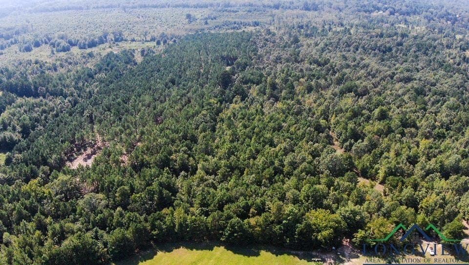 17.3 acres in Texas County - photo 7