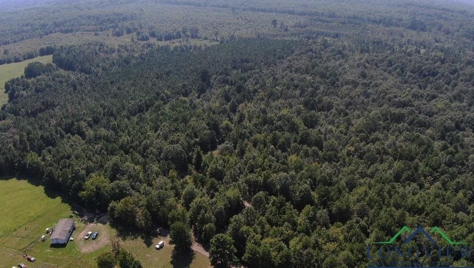 17.3 acres in Texas County - photo 5