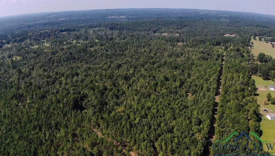 17.3 acres in Texas County - photo 6