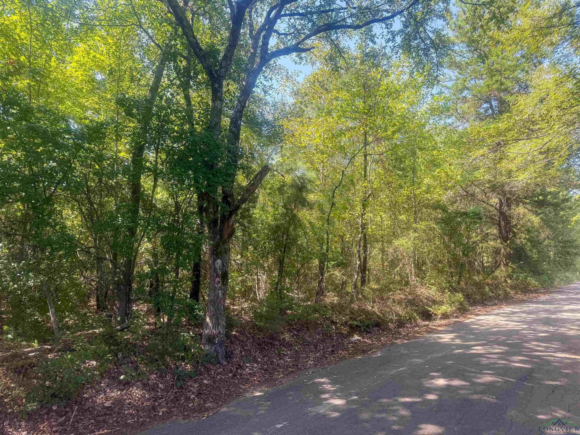 17.3 acres in Texas County - photo 2