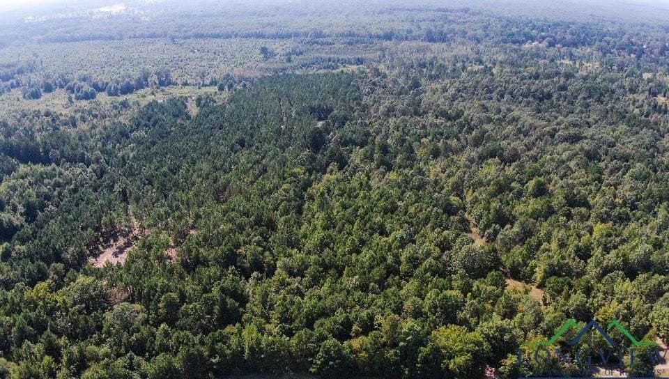 17.3 acres in Texas County - photo 8