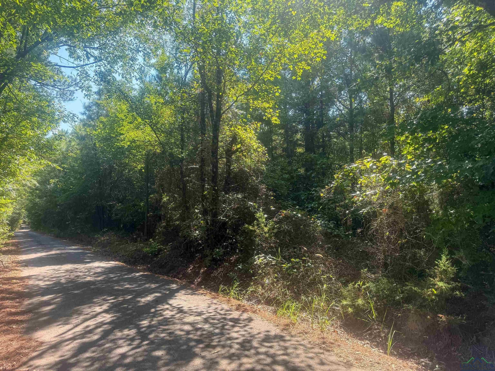 17.3 acres in Texas County - photo 3
