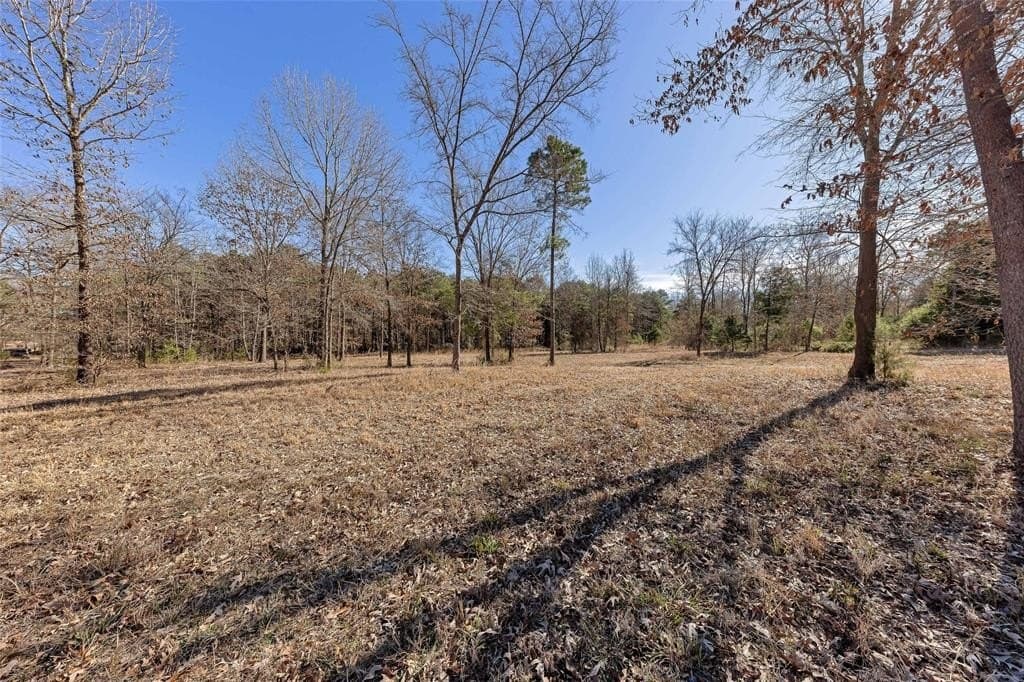 20.71 acres in Wood County - photo 7
